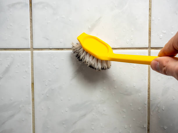 Best Black Mold Removal  in Spruce Pine, NC