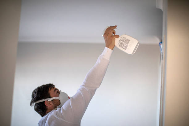 Best Local Mold Removal Service  in Spruce Pine, NC